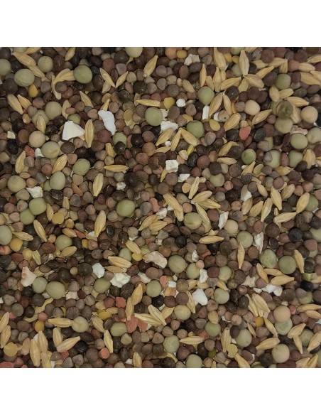 GALIAN COGASA MIXTURA MANTENIMIENTO N. 3 PALOMOS DEPORTIVOS - 20 KG 20 KG - 3