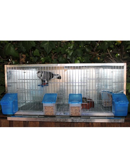 MOLDES AVE COMEDERO EL ABUELO - 500 GR - 7