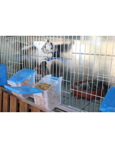 MOLDES AVE COMEDERO EL ABUELO - 500 GR - 11