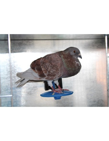 MOLDES AVE POSADERA CON SOPORTE  - 4