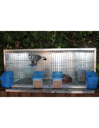 MOLDES AVE POSADERA CON SOPORTE  - 5