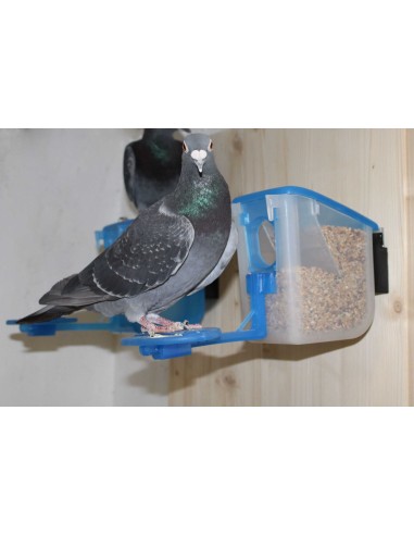 MOLDES AVE COMEDERO EL ABUELO - 500 GR - 12