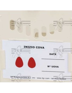 2G-R NIDO EXTERNO SAMSARA VERDE 12 5 X 19 5 X 16 5 CM - 2 2