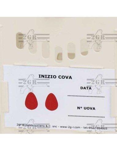 2G-R NIDO EXTERNO SAMSARA VERDE 12 5 X 19 5 X 16 5 CM - 3