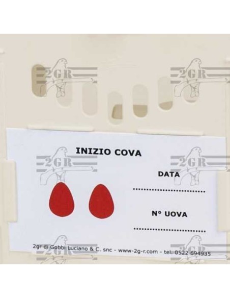 2G-R NIDO EXTERNO SAMSARA VERDE 12 5 X 19 5 X 16 5 CM - 3