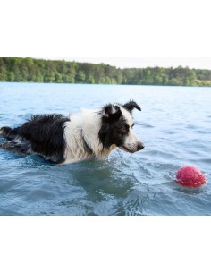 WEST PAY WEST PAW ZOGOFLEX AIR BOZ PELOTA PARA PERROS AMARILLO AMARILLO FUCSIA FUCSIA 10 CM 10 CM 10 CM 6 CM 6 CM AGUAMARI - 2