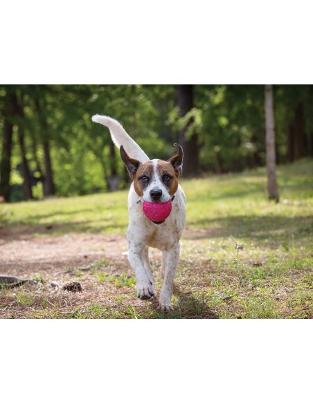 WEST PAY WEST PAW ZOGOFLEX AIR BOZ PELOTA PARA PERROS AMARILLO AMARILLO FUCSIA FUCSIA 10 CM 10 CM 10 CM 6 CM 6 CM AGUAMARI - 5