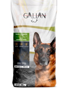 GALIAN COGASA GALIAN DOGS HIGH MAINTENANCE - 20 KG 20 KG - 2