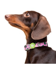 DUKIER COLLAR VEGAN 2