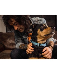 DUKIER COLLAR SKULLS 2