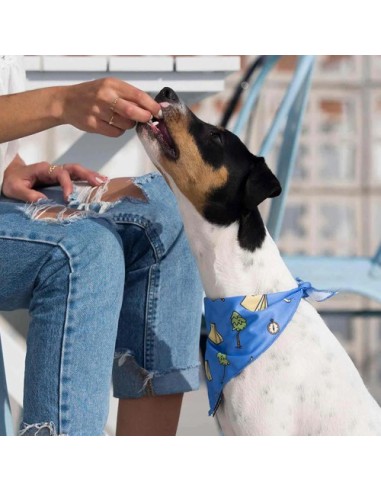 DUKIER BANDANA CAMPING - 3