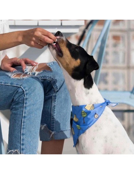 DUKIER BANDANA CAMPING - 3