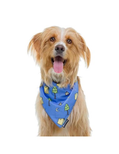 DUKIER BANDANA CAMPING - 4