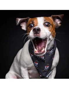 DUKIER BANDANA PIRATE