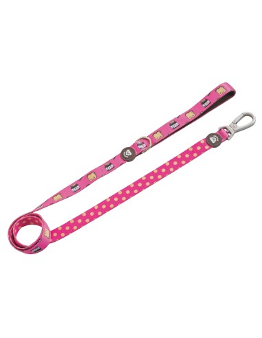 DUKIER CORREA DOGTELLA