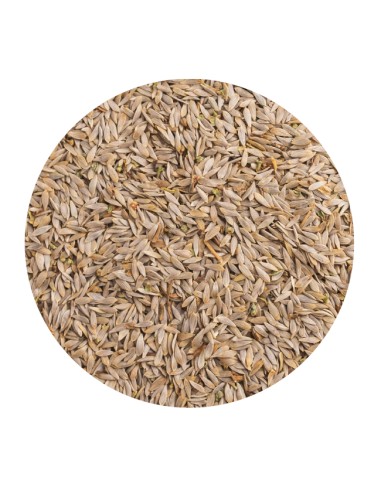 PET CUP LECHUGA BLANCA - 1,5 KG 1 5 KG