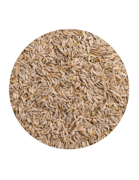 PET CUP LECHUGA BLANCA - 1,5 KG 1 5 KG