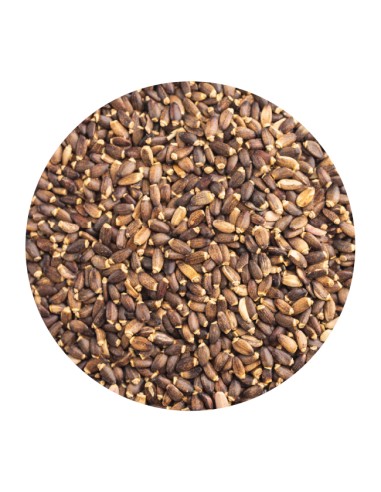 PET CUP CARDO MARIANO - 2 KG 2 KG