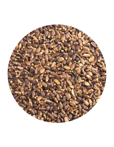 PET CUP CARDO MARIANO - 2 KG 2 KG