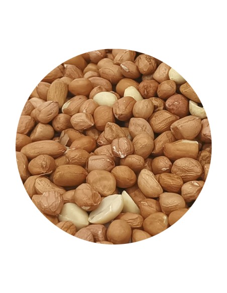 PET CUP CACAHUETE SIN CASCARA - 850 GR 850 GR