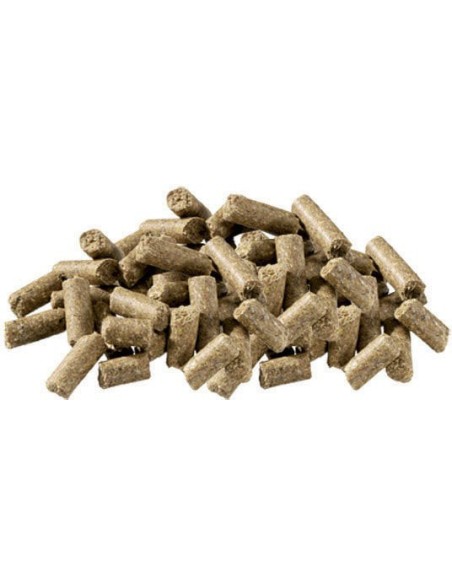 PAVO PIENSO ALLSPORTS - 20 KG 20 KG - 3