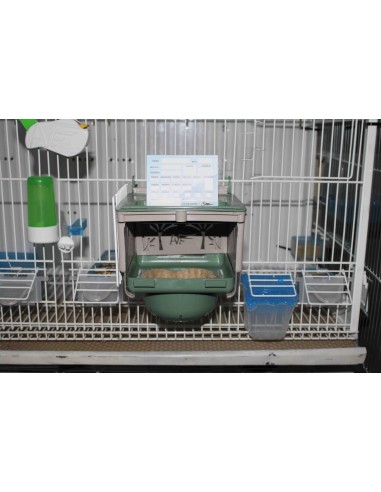 MOLDES AVE NIDO MODELO DUBAI 8 CM 10 CM 12 CM - 4