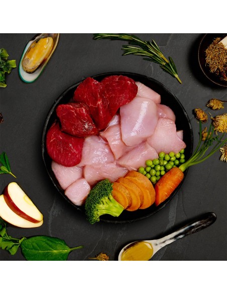 CANAGAN LATA DE GUISO DE POLLO Y JABALÍ SALVAJE PARA PERROS - 400 GR 400 GR - 4