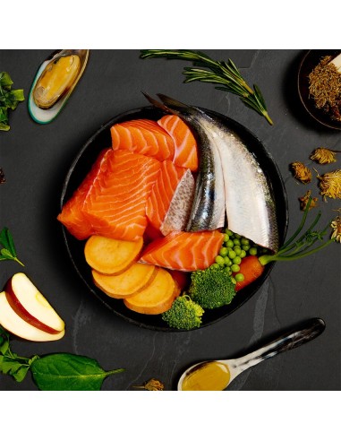 CANAGAN LATA DE CENA DE SALMÓN Y ARENQUE PARA PERROS - 400 GR 400 GR - 4