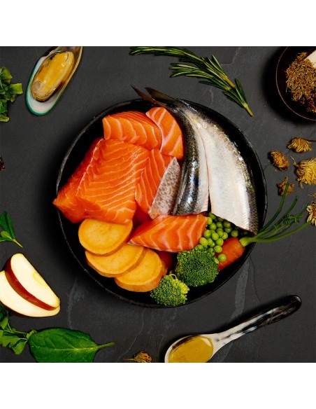 CANAGAN LATA DE CENA DE SALMÓN Y ARENQUE PARA PERROS - 400 GR 400 GR - 4