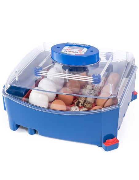 BOROTTO INCUBADORA AUTOMÁTICA LUMIA 16