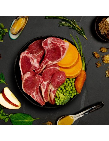 CANAGAN LATA DE ESTOFADO DE CORDERO PARA PERROS - 400 GR 400 GR - 4