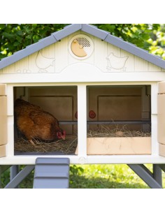 COPELE MI PRIMER GALLINERO  2