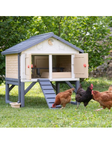 COPELE MI PRIMER GALLINERO  - 6