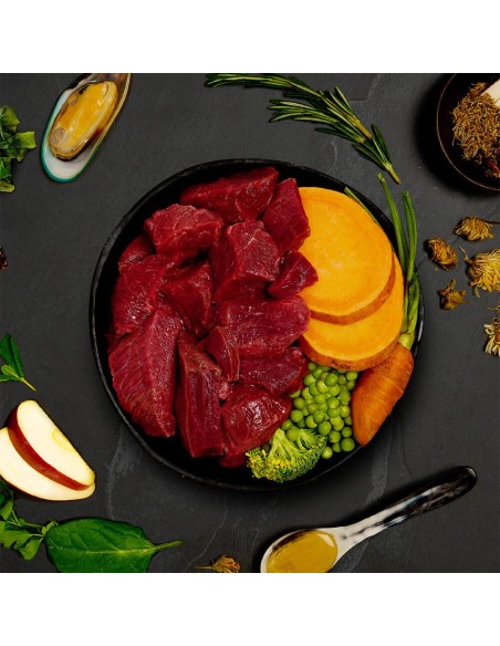 CANAGAN LATA DE ESTOFADO DE TERNERA PARA PERROS - 400 GR 400 GR - 4