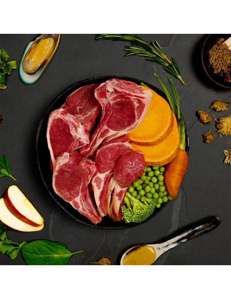 CANAGAN LATA DE PASTEL DE CARNE DE CORDERO PARA PERROS - 400 GR 400 GR - 4