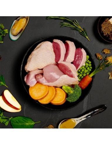 CANAGAN LATA DE PAVO Y PATO PARA PERROS - 400 GR 400 GR - 4