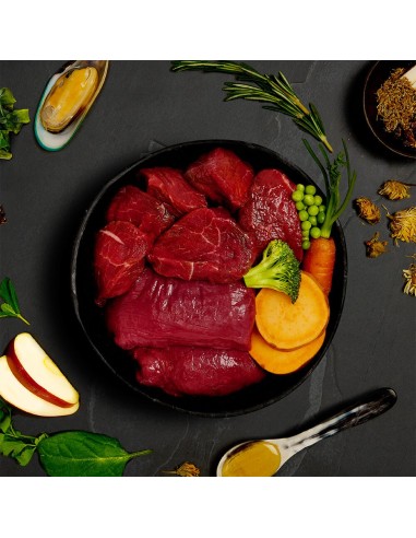 CANAGAN LATA DE ESTOFADO DE VENADO Y JABALÍ SALVAJE PARA PERROS - 400 GR 400 GR - 4