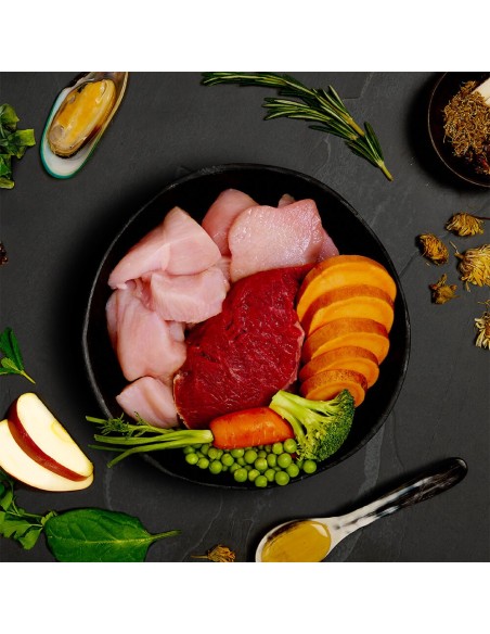 CANAGAN LATA DE FESTÍN TERNERA Y POLLO CAMPERO PARA CACHORROS - 400 GR 400 GR - 4