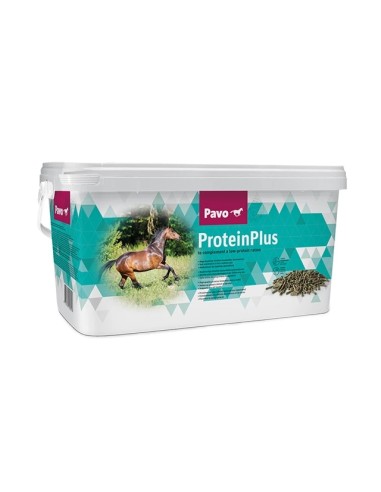 PAVO PROTEIN PLUS - 7 KG 7 KG - 2