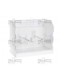 2G-R JAULA DE EXPOSICIÓN 315 BLANCA 3 PUERTAS COMEDEROS ALTOS