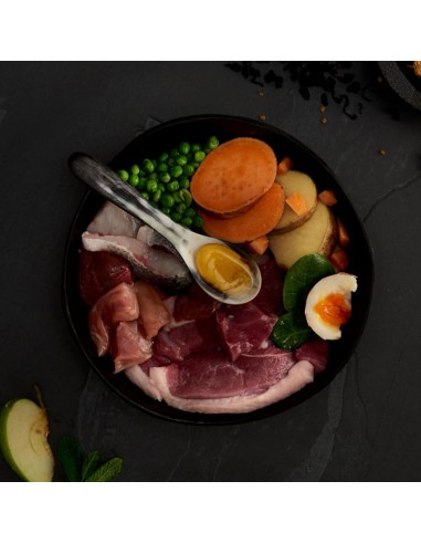 CANAGAN CARNES DE CAZA PARA PERROS 2 KG 12 KG 6 KG - 2