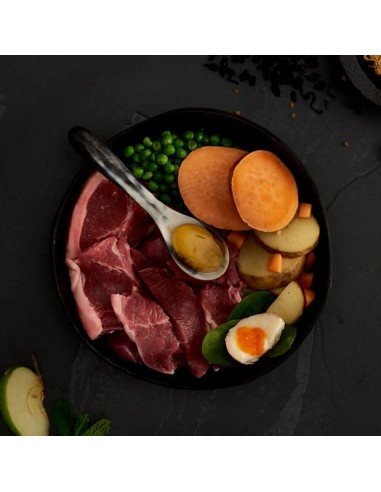 CANAGAN CORDERO DE PRADO PARA PERROS 2 KG 12 KG 6 KG - 2