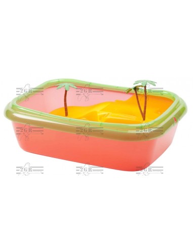 2G-R TORTUGUERA ISCHIA  - 3