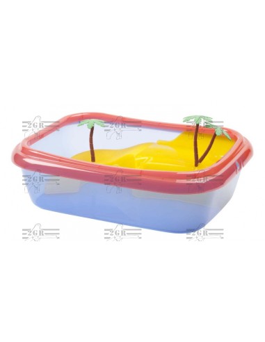 2G-R TORTUGUERA ISCHIA  - 4