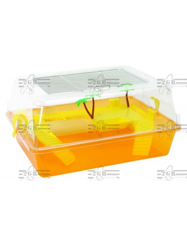 2G-R TORTUGUERA BABY 