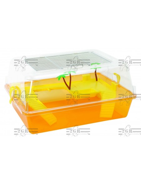 2G-R TORTUGUERA BABY 