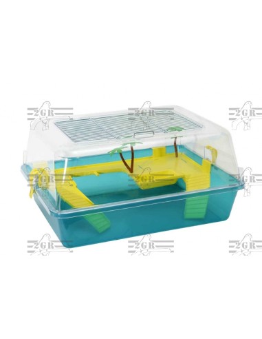 2G-R TORTUGUERA BABY  - 2