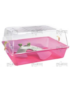 2G-R TORTUGUERA ELBA 