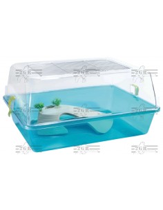 2G-R TORTUGUERA ELBA  2