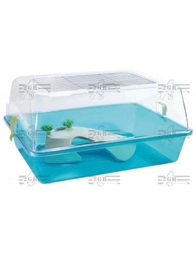 2G-R TORTUGUERA ELBA  - 2